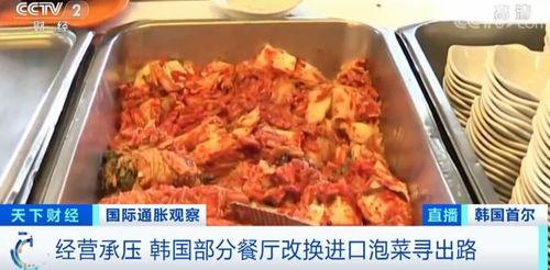 韩国爆料中国泡菜场视频,传统与创新交织的美食之旅  第2张